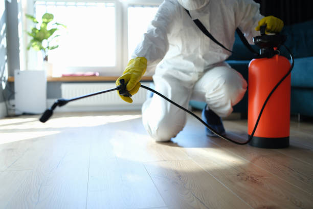 Reliable Odor Removal contractor in Mount Vernon, MO by Crime Scene Cleaner Online